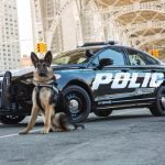 Ford lança Fusion Police Responder, híbrido para uso pela polícia norte-americana